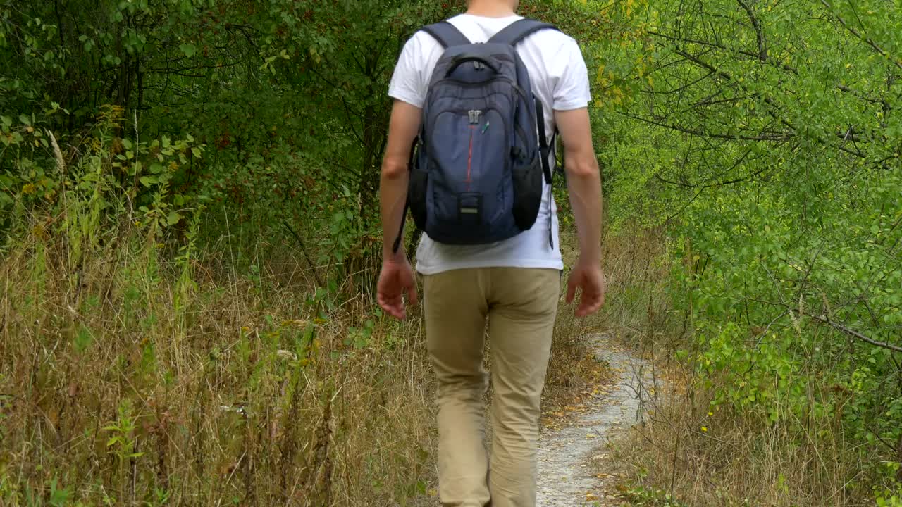 Stock Video Man With Backpack Walking On A Forest Pat Animated Wallpaper - Free Download