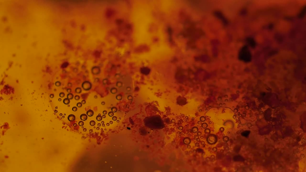 Stock Footage Viruses Absorbing Cells Live Wallpaper - Free Download