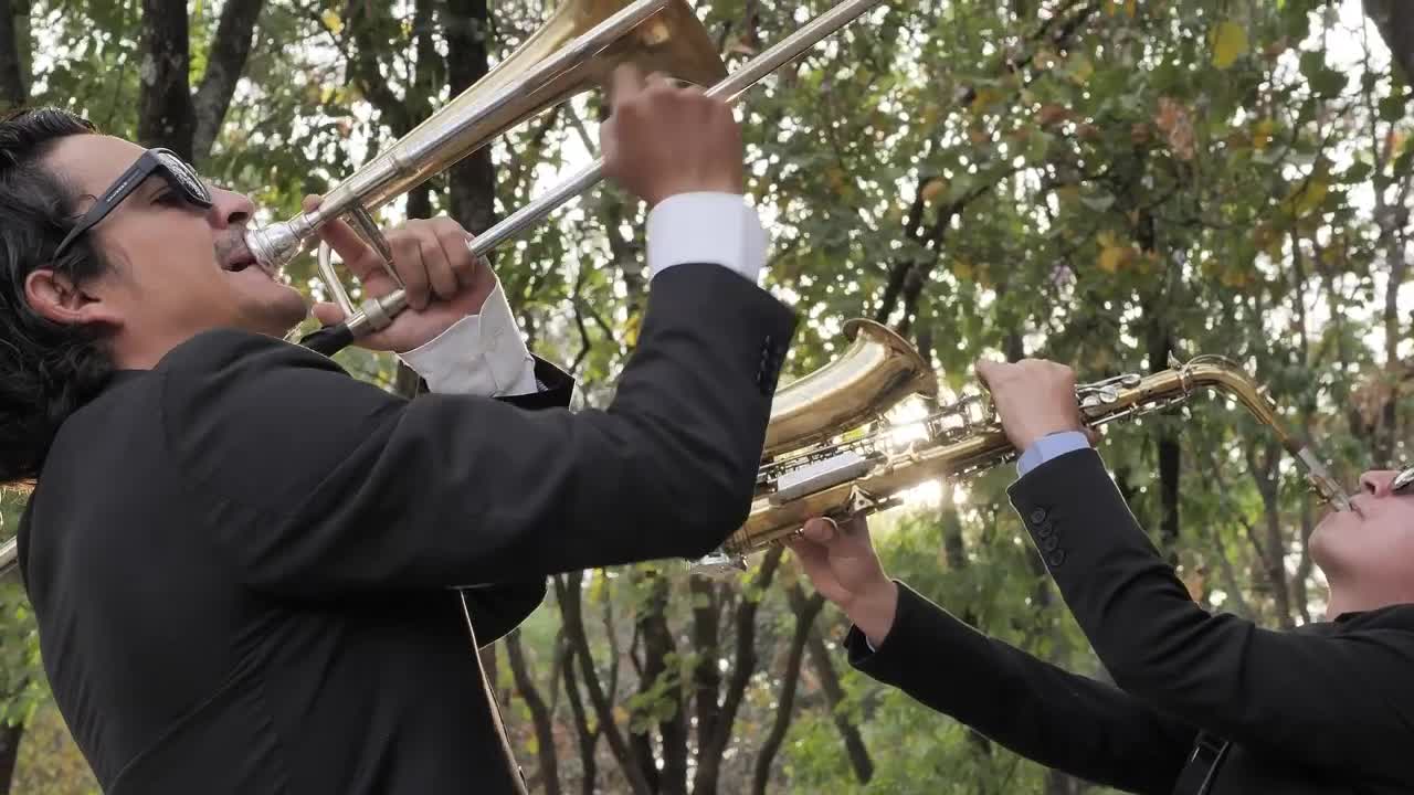 Stock Video Jazz Musicians Playing In A Park Animated Wallpaper - Free Download