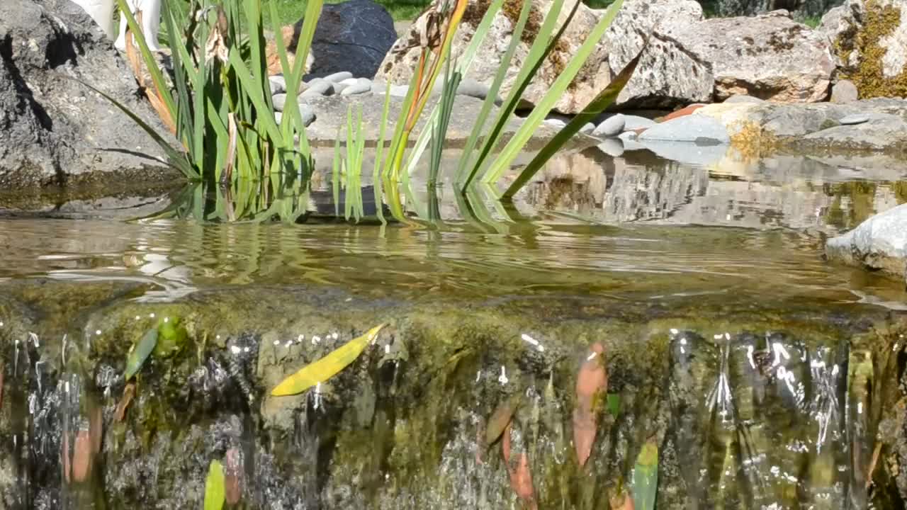 Free Video Stock Stream Flowing Over Rocks Live Wallpaper - Free Download