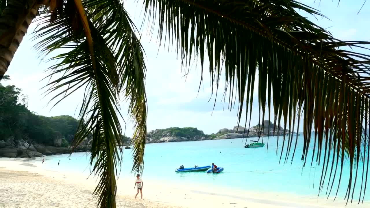 Stock Video Paradise Beach With Turquoise Water Live Wallpaper - Free Download