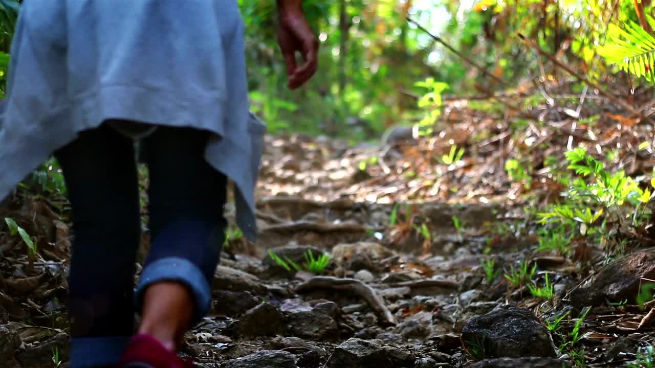 Free Stock Video Woman Climbing A Hill In The Forest Live Wallpaper - Free Download