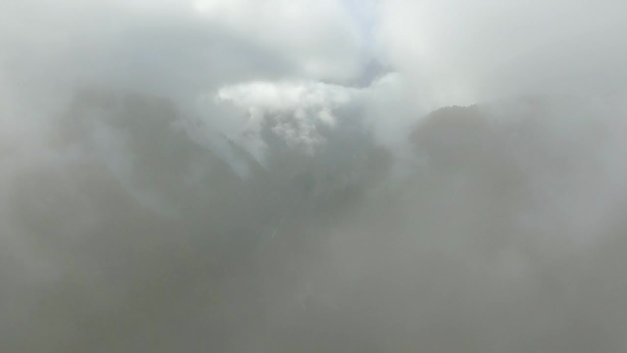 Stock Video Flying Through The Fog In The Forested Mountains Live Wallpaper For PC - Free Download
