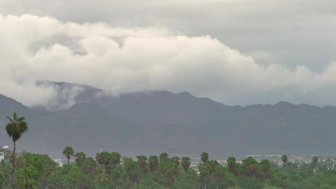 Free Video Stock Stormy Day At Beach Live Wallpaper - Free Download