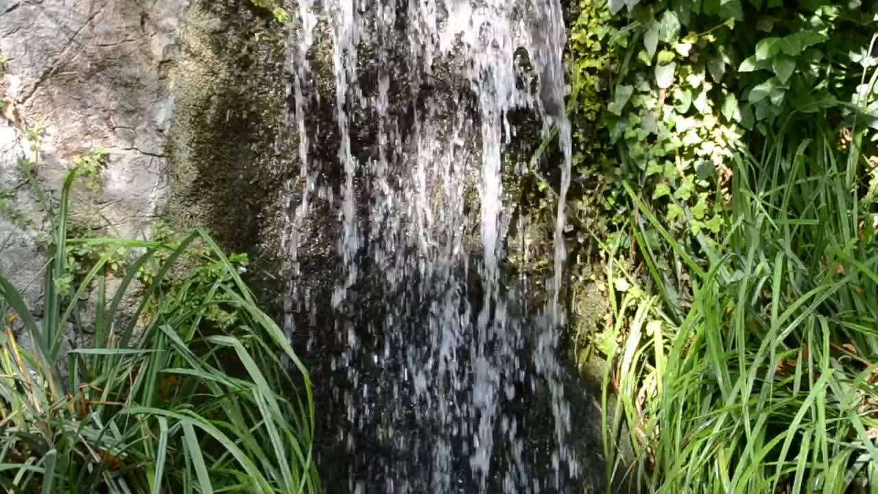 Stock Video Natural Spring Waterfall Live Wallpaper - Free Download