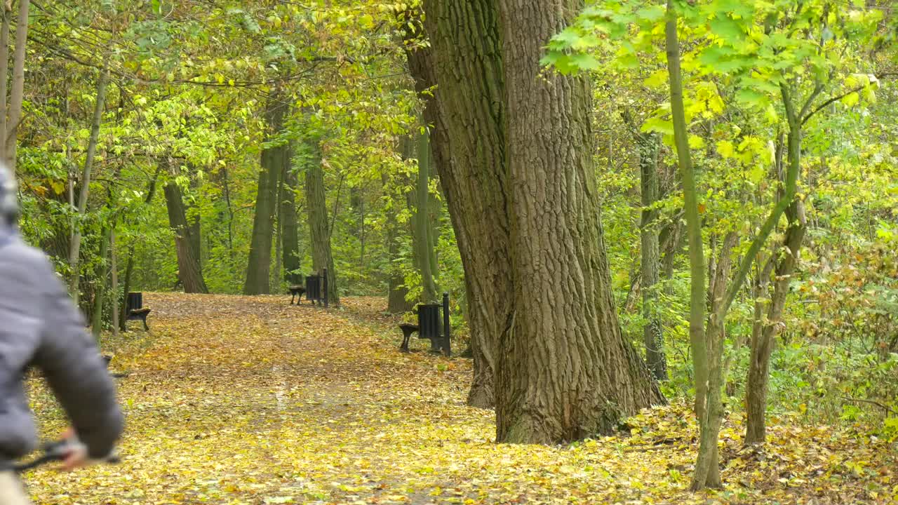 Stock Video Man Pedaling Through The Park Pat Animated Wallpaper - Free Download