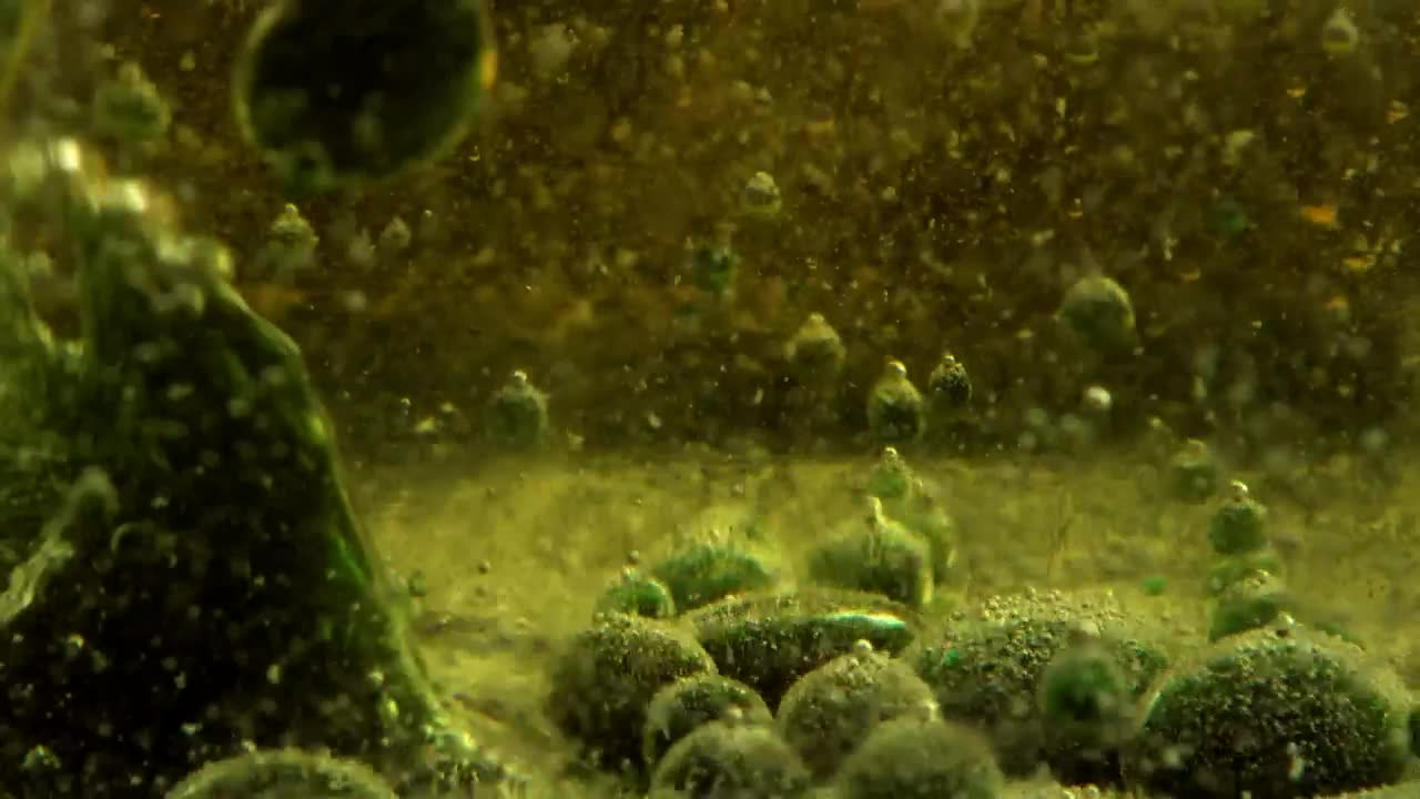 Free Video Stock thick green and bubbly liquid seen in detail Live Wallpaper - Free Download