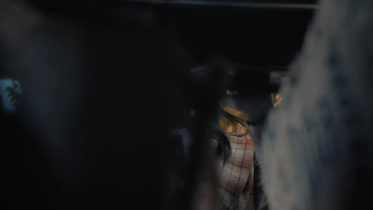 Free Stock Video Woman Taking Her Shopping Bags From A Car Live Wallpaper - Free Download