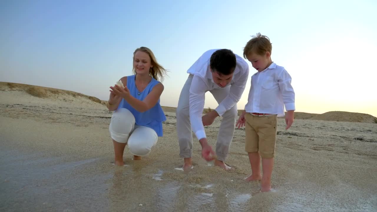 Free Video Stock throwing shells at the beach Live Wallpaper - Free Download