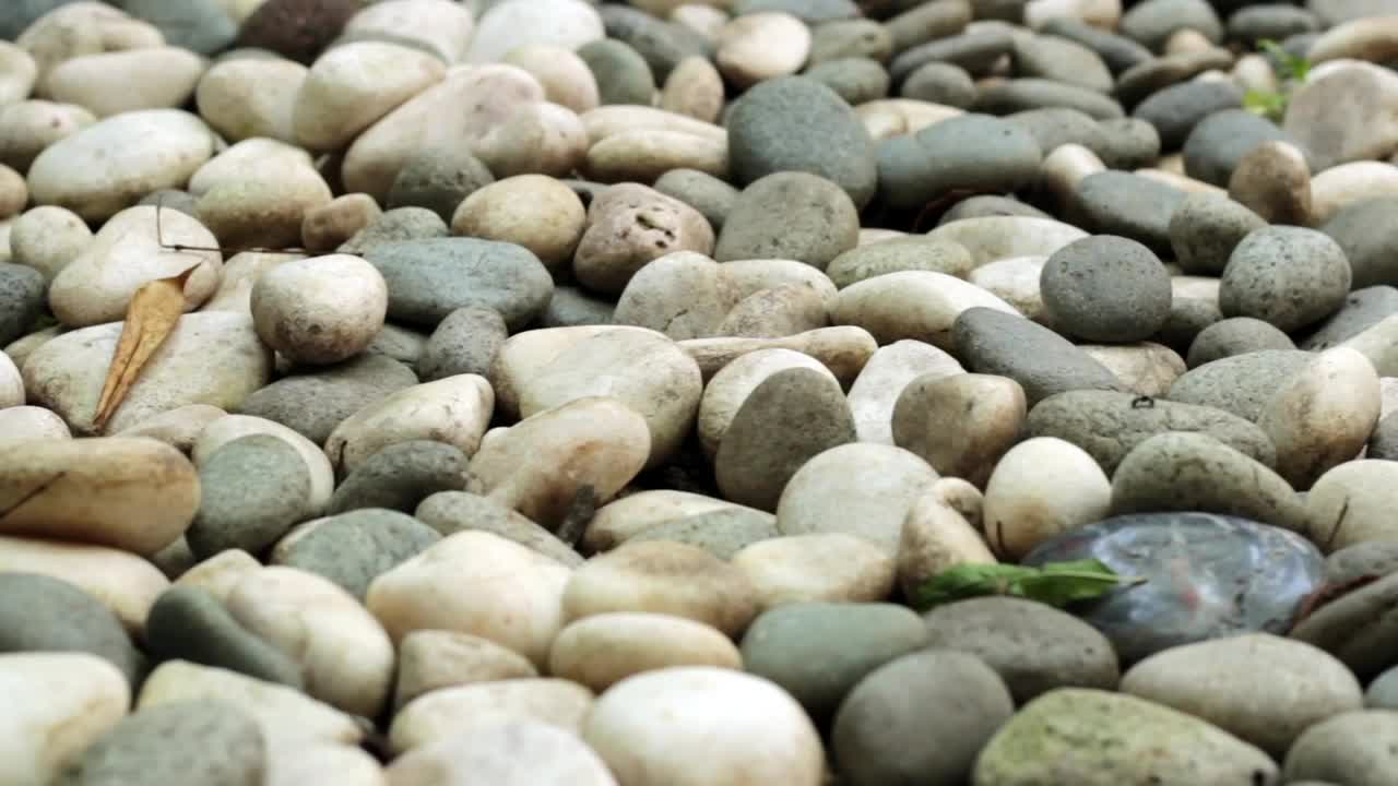 Stock Video Path Of Pebbles Live Wallpaper - Free Download
