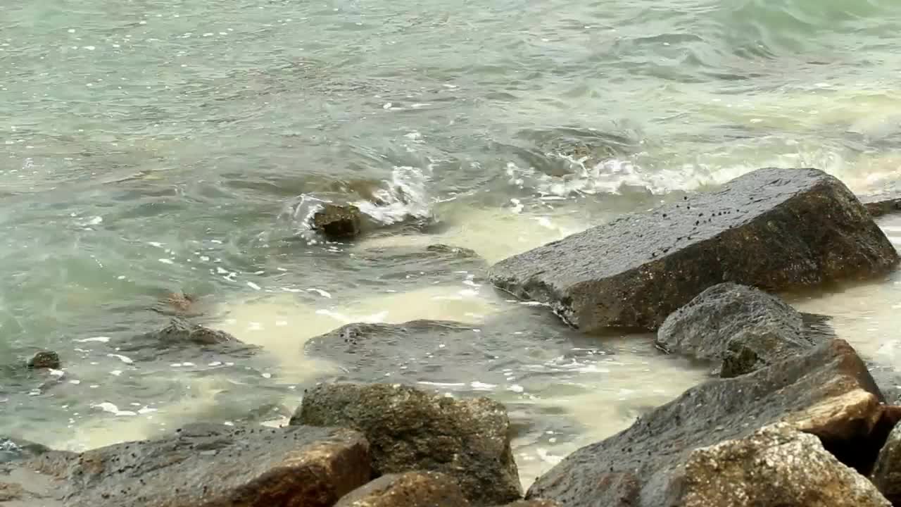 Stock Video Eroded Rocks By The Ocean Live Wallpaper For PC - Free Download
