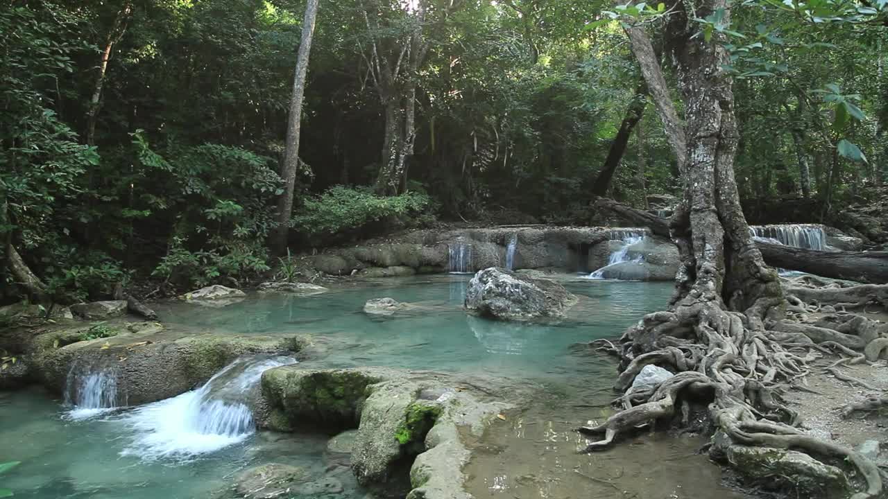 Stock Video Jungle River And Small Waterfalls Animated Wallpaper - Free Download