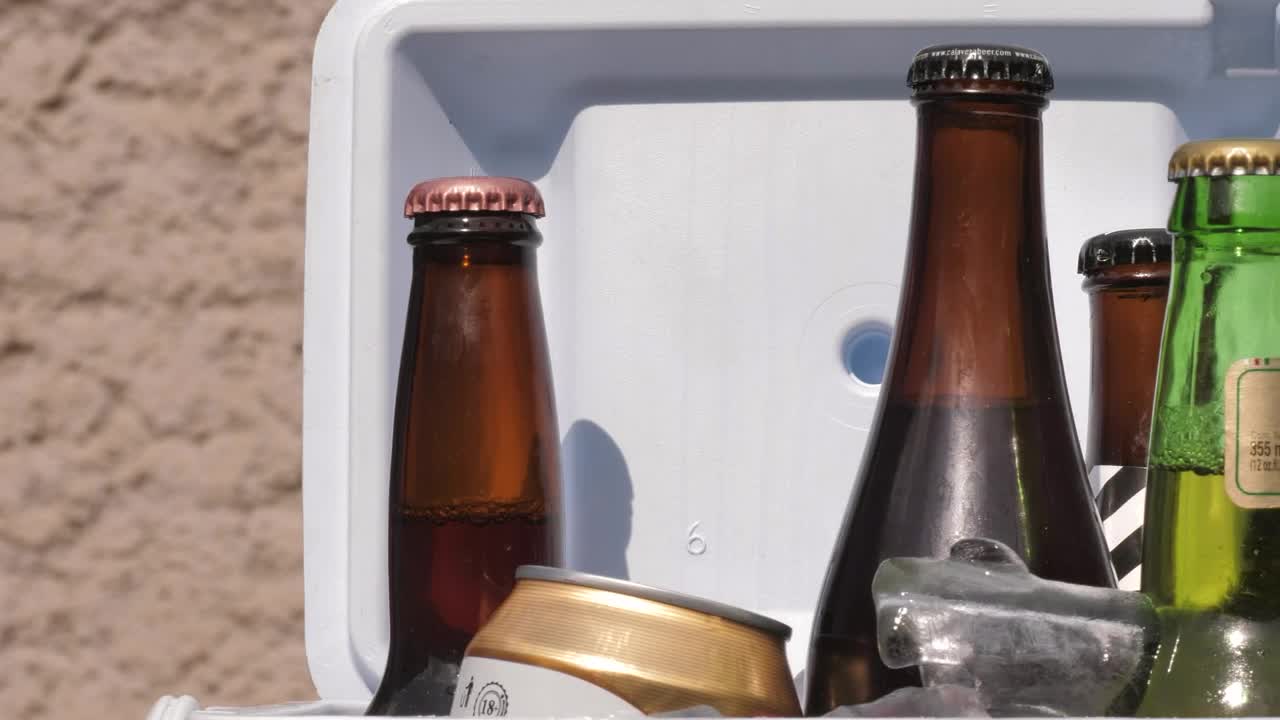 Stock Video Beers In A Small Cooler Live Wallpaper For PC - Free Download