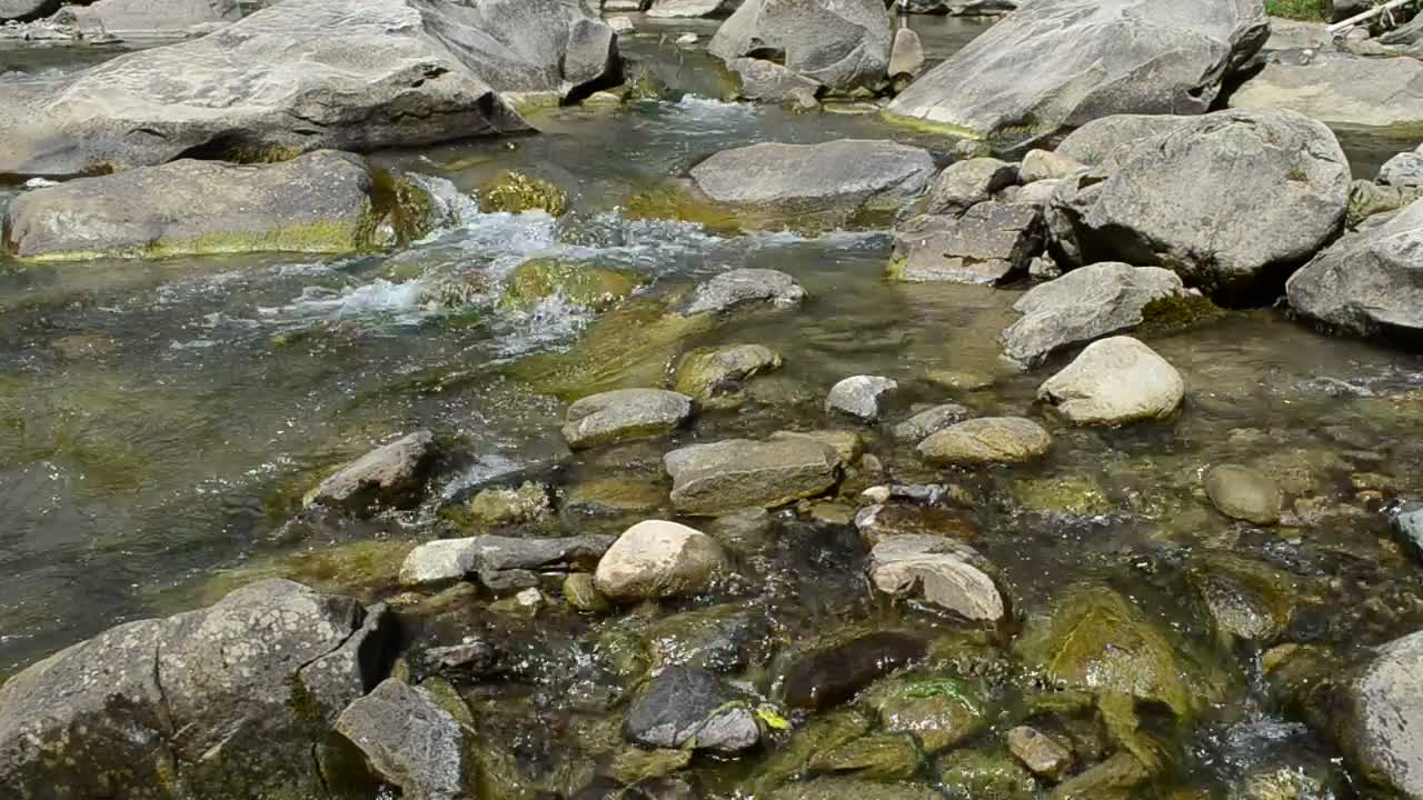 Video Stock Clear And Shallow River Live Wallpaper For PC - Free Download
