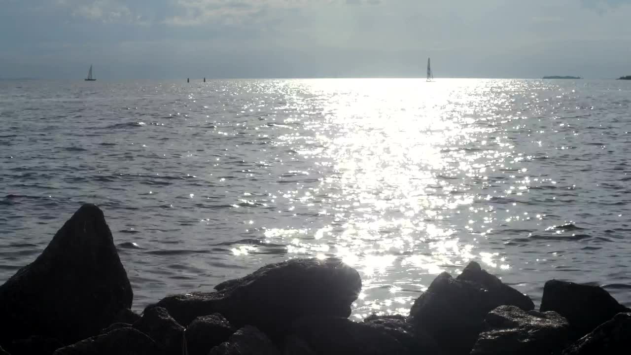 Free Stock Video Silver Ripples Across The Coast Live Wallpaper - Free Download
