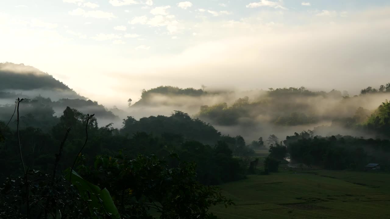 Stock Video Misty Hills And Rice Field Animated Wallpaper - Free Download