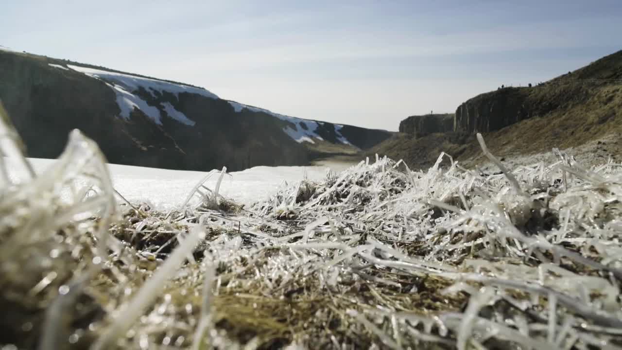 Stock Video Frozen Grasslands Live Wallpaper For PC - Free Download