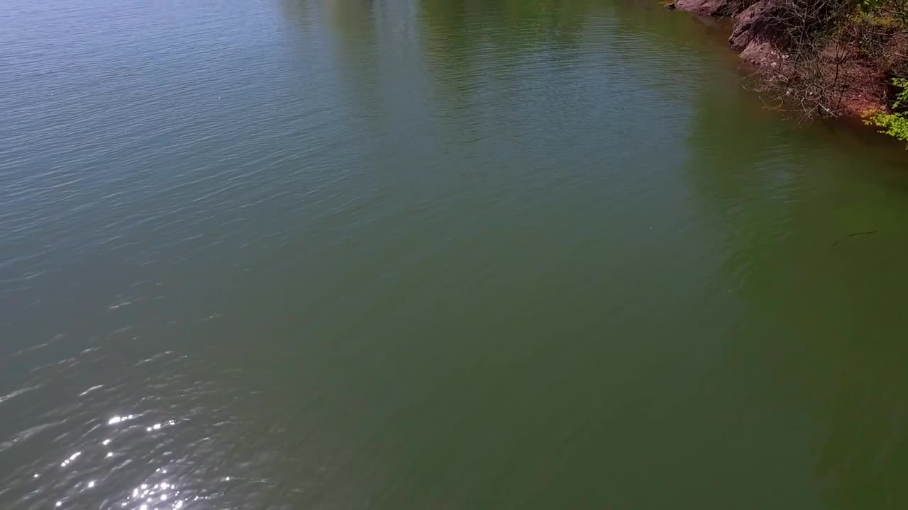 Stock Video Gentle Lake And Vibrant Forests Live Wallpaper For PC - Free Download
