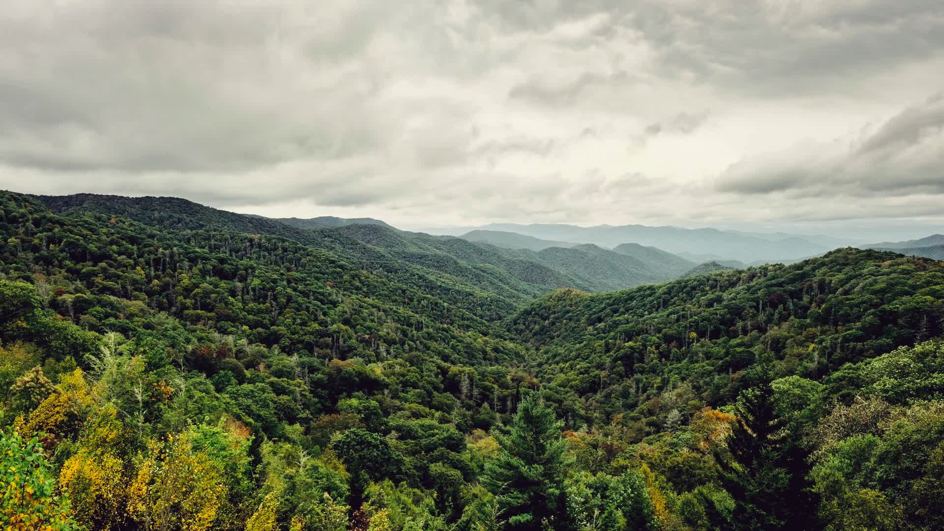 Great Smoky Mountains National Park HD Live Wallpaper - Free Download