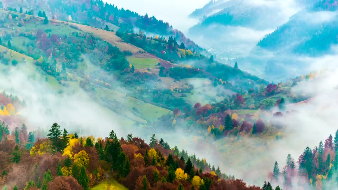 Stock Video Fog Moving Between The Mountains And The Forest Live Wallpaper For PC - Free Download