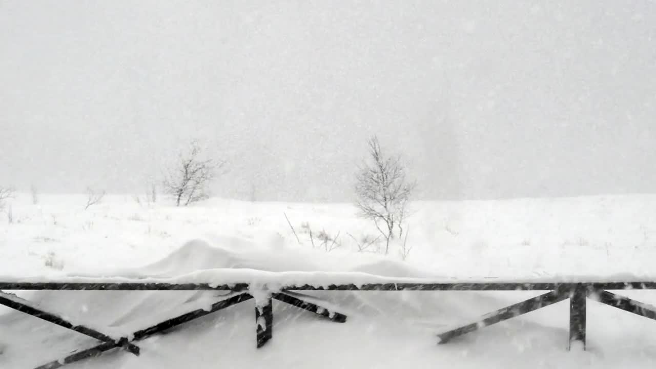 Free Video Stock Snowstorm In The Countryside Live Wallpaper - Free Download
