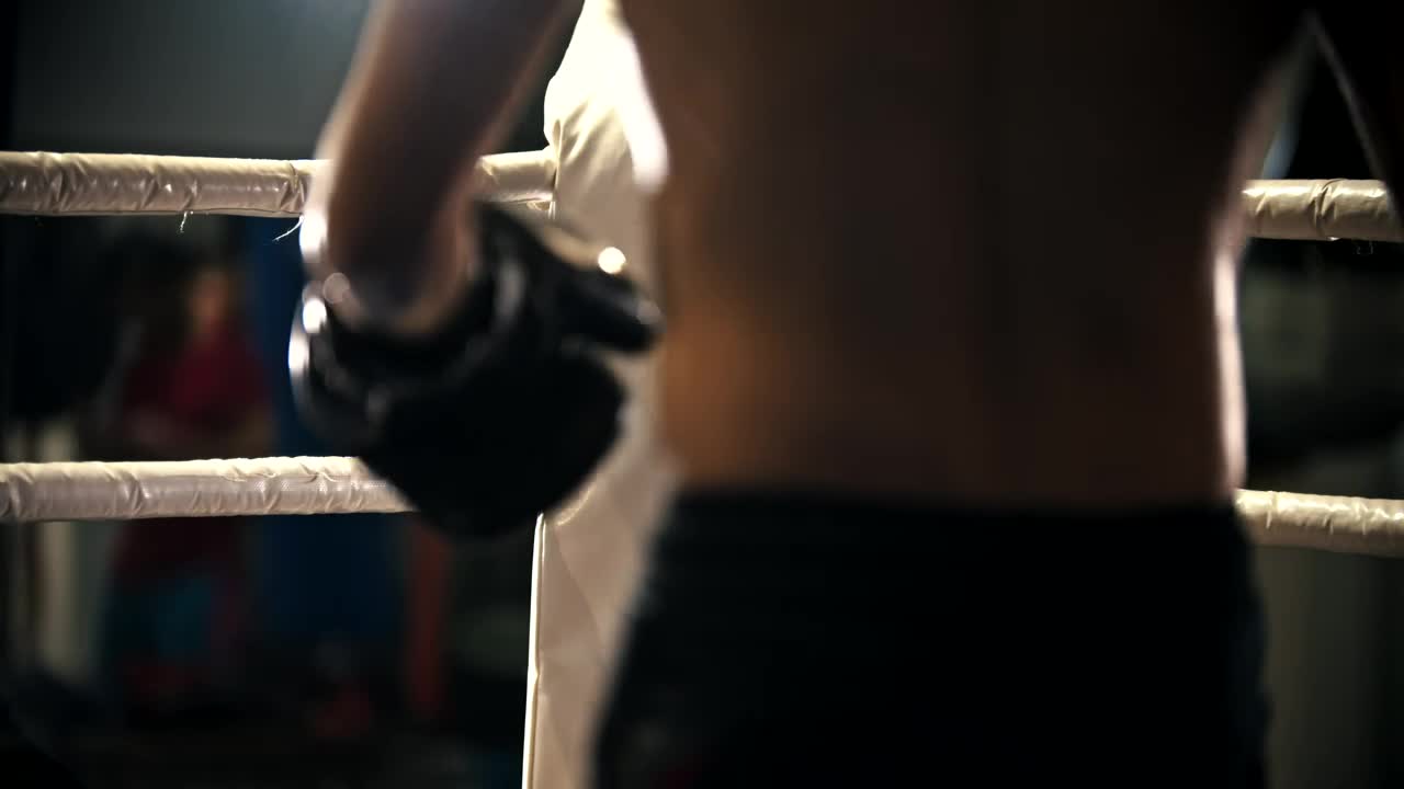 Free Video Stock tired amateur boxer in the corner of the ring while Live Wallpaper - Free Download