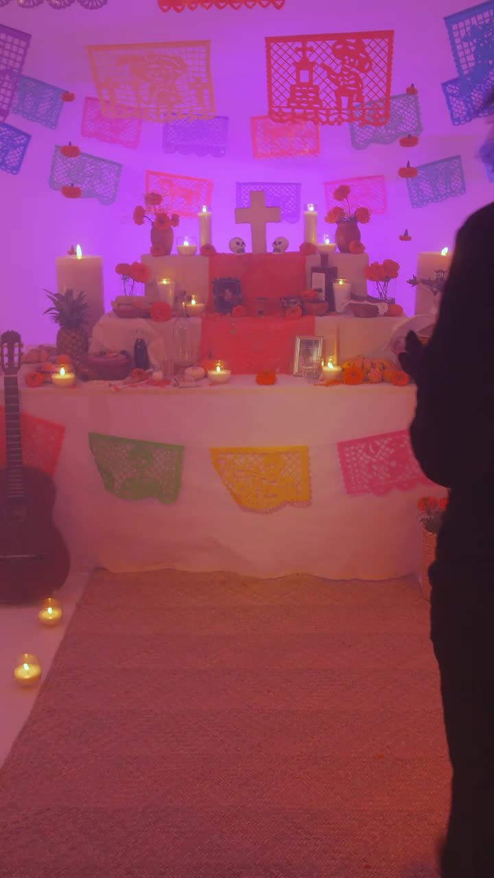 Video Stock Catrina With Bread Of The Dead On Day Of The Live Wallpaper For PC - Free Download