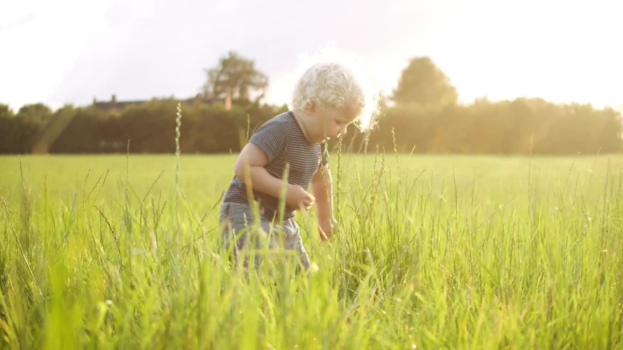 Free Video Stock toddler picking grass Live Wallpaper - Free Download
