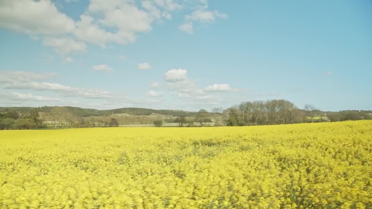 Stock Video Crops Below A Blue Sky Live Wallpaper For PC - Free Download