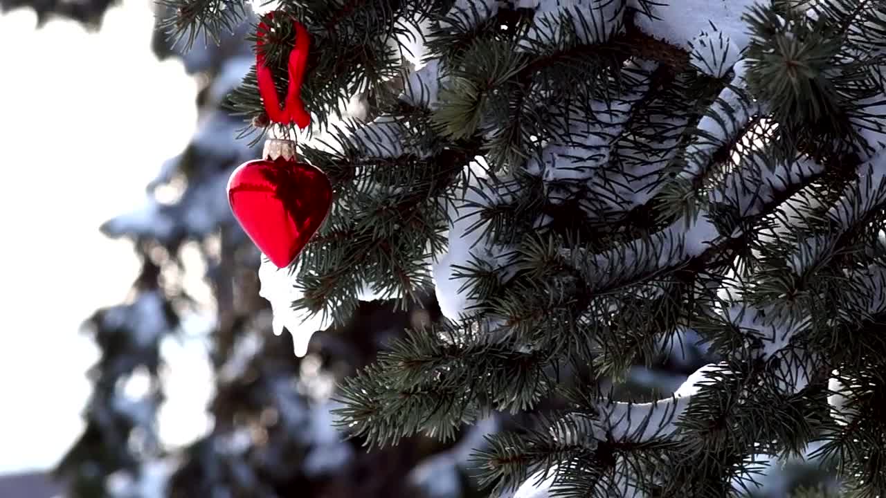 Free Video Stock Snowy Pine With Heart Decoration Live Wallpaper - Free Download
