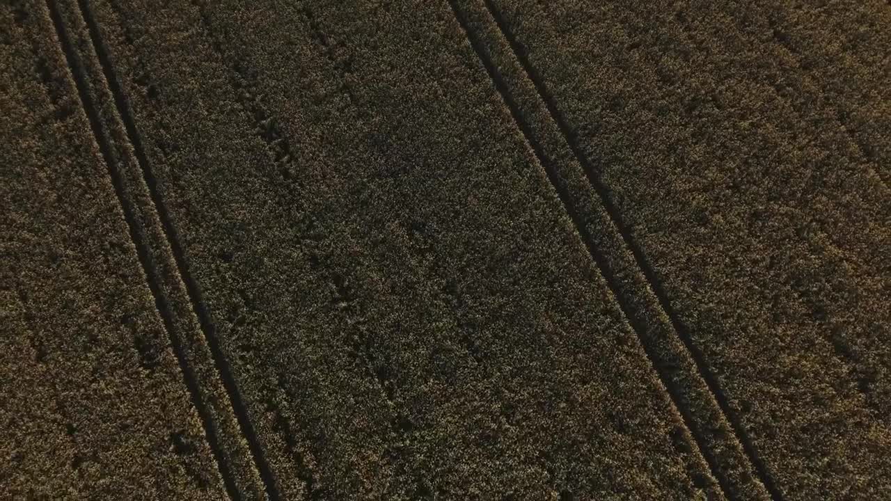 Stock Video Drone Flying Over Large Fields Live Wallpaper For PC - Free Download