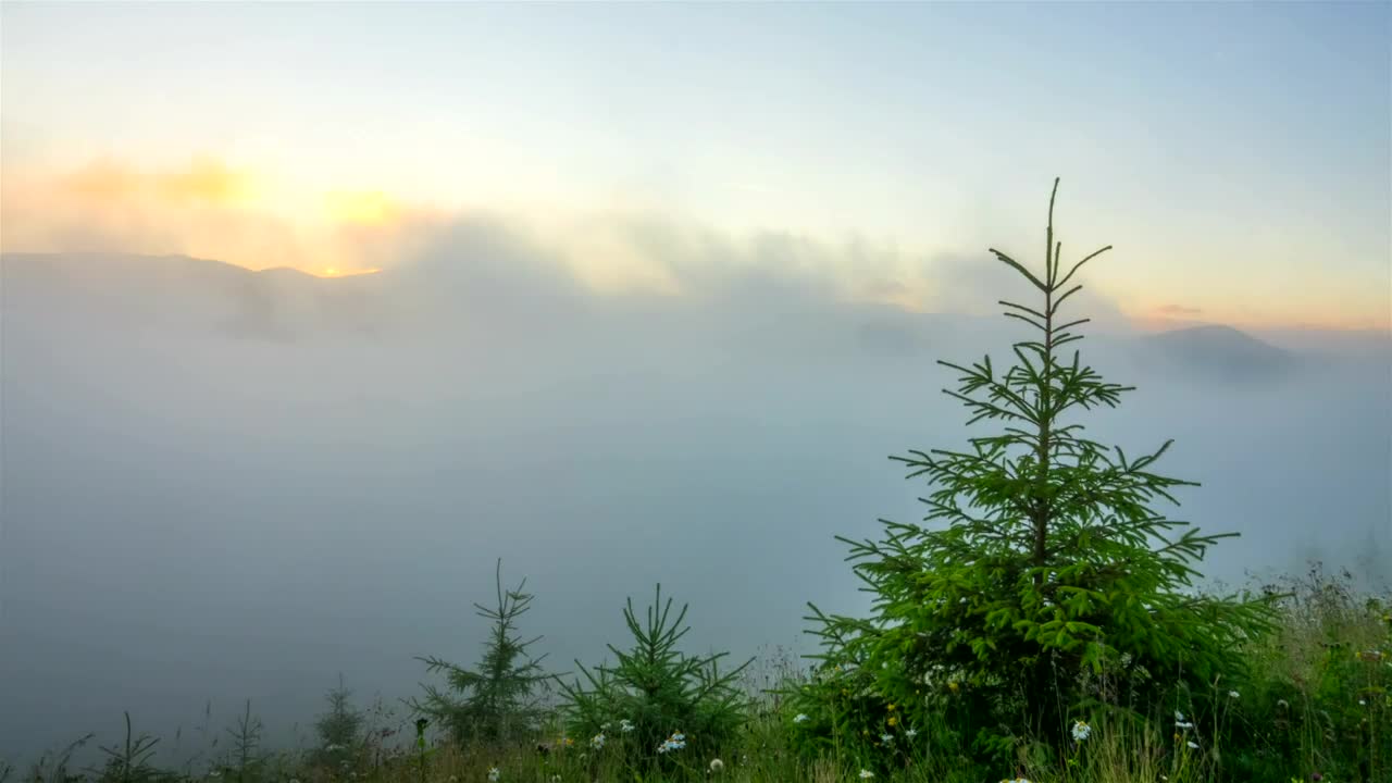Stock Video Misty Morning In The Mountain Time Laps Animated Wallpaper - Free Download