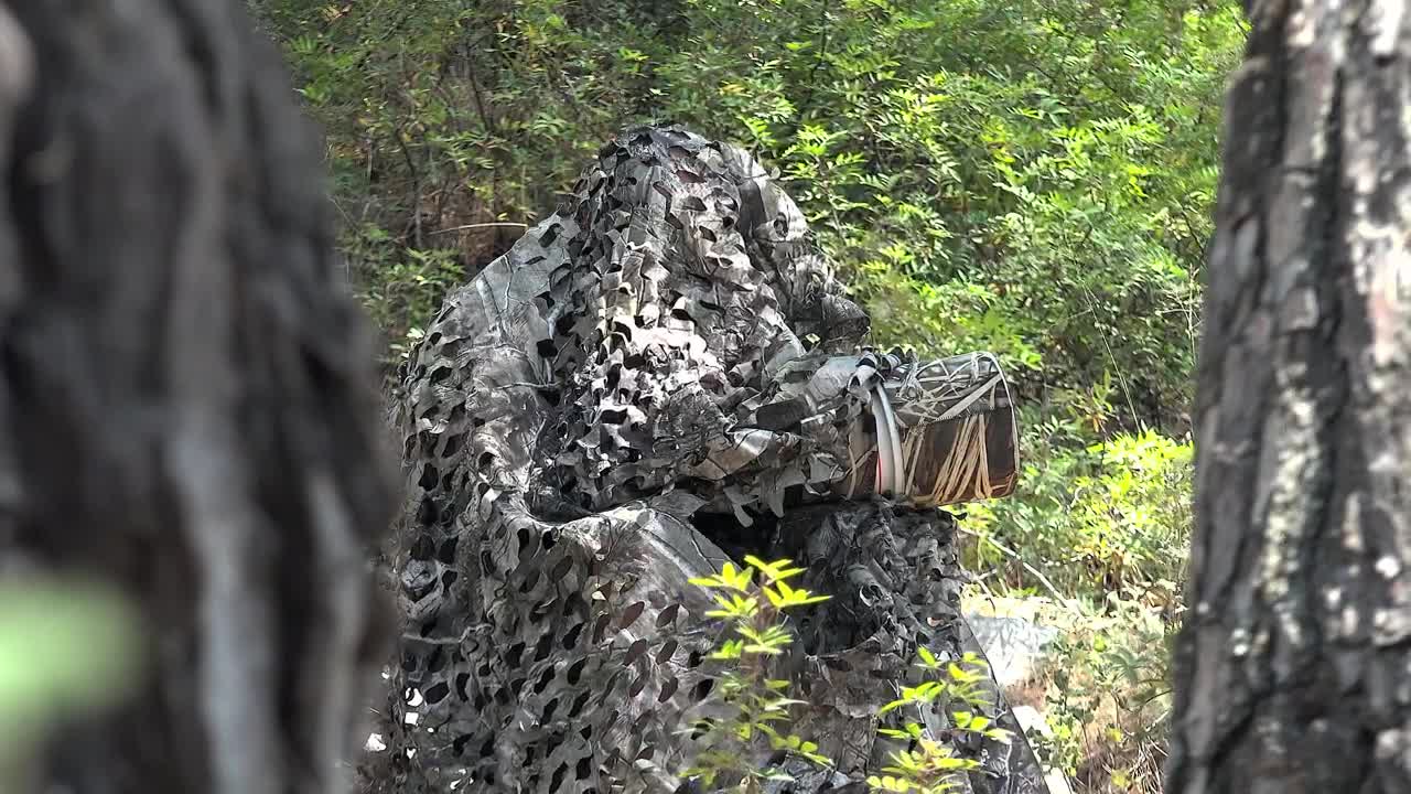 Video Stock Photographer Wearing Camouflage In The Woods Live Wallpaper Free - Free Download