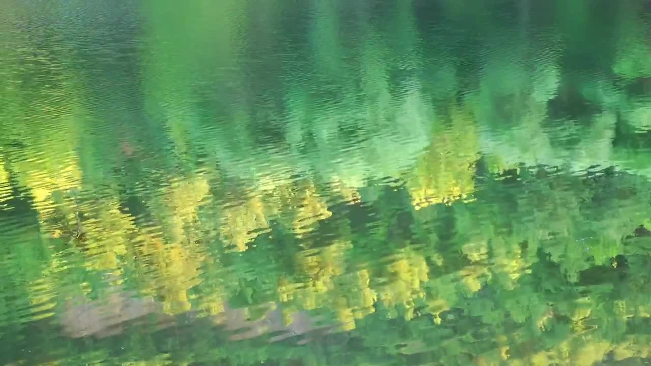 Stock Video Meadow Reflected In The Water Of A Calm Rive Animated Wallpaper - Free Download