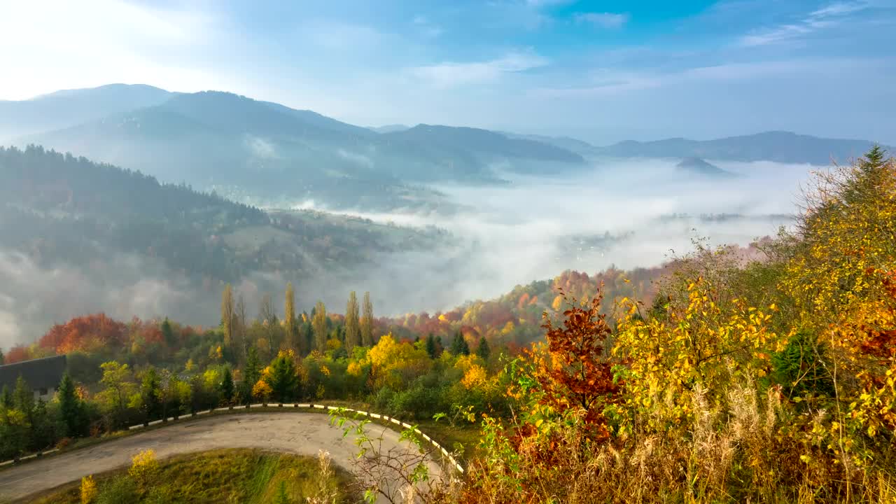 Stock Video Misty Morning In The Mountai Animated Wallpaper - Free Download