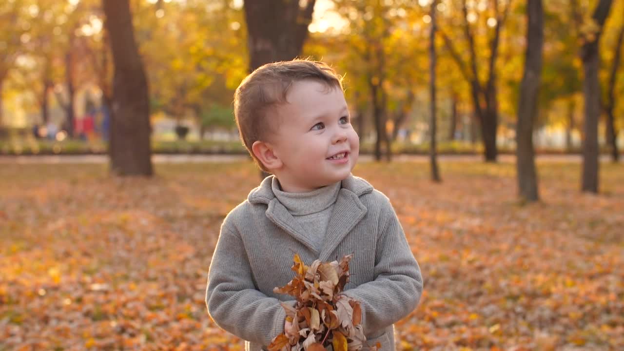 Stock Video Happy Child Playing With Autumnal Leaves Animated Wallpaper - Free Download