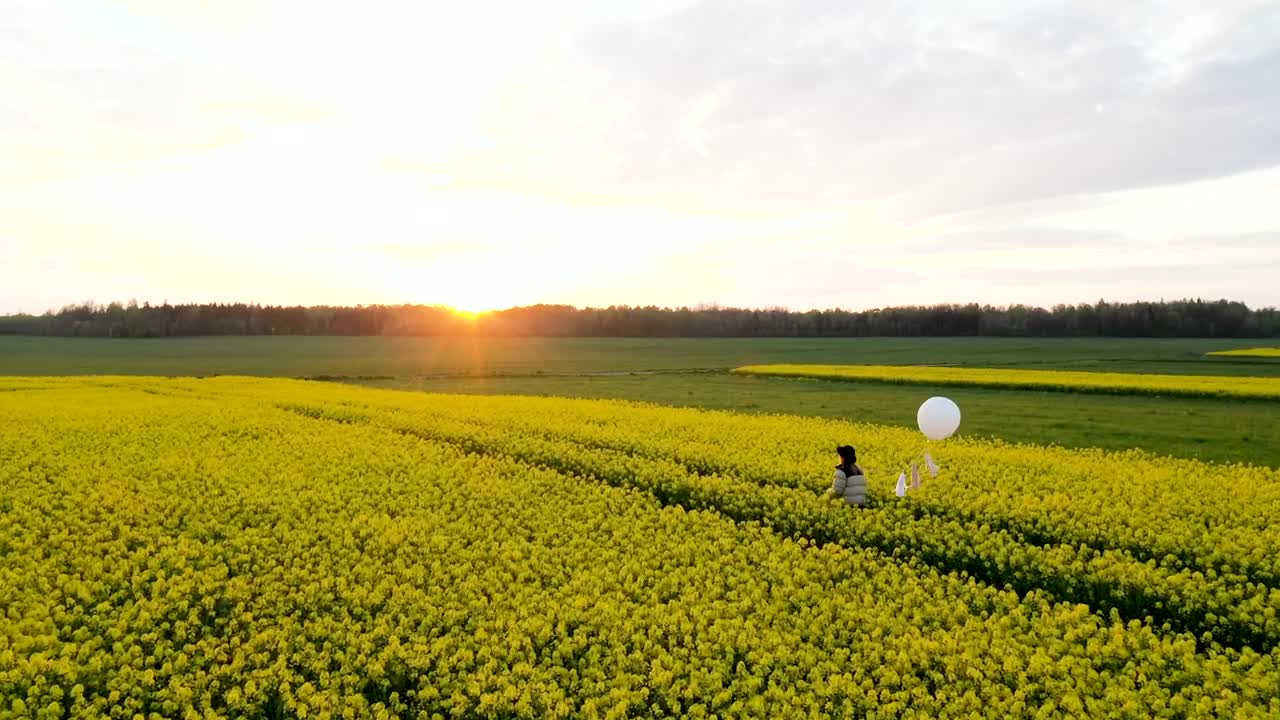 Stock Footage Walking On A Flower Field With A White Balloon Live Wallpaper - Free Download
