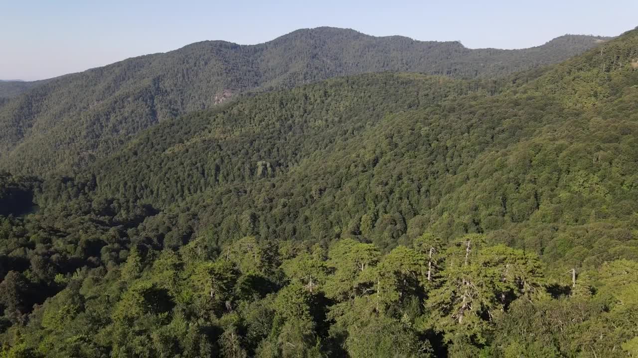 Stock Video Cordillera Lined With Trees On A Sunny Day Live Wallpaper For PC - Free Download