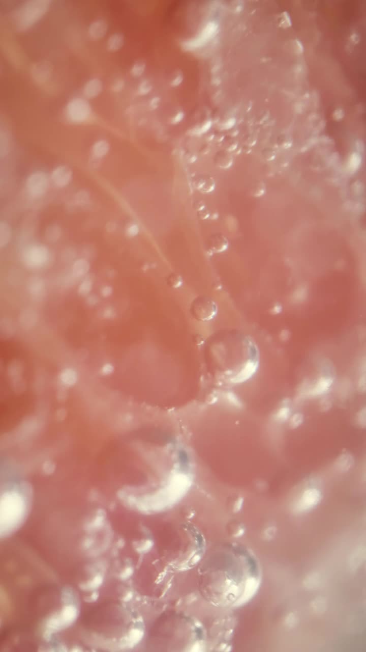 Stock Video Grapefruit Slices Live Wallpaper For PC - Free Download