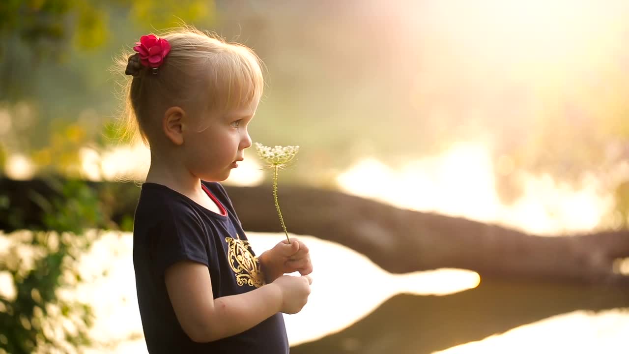 Stock Video Little Girl Smelling A Flower In Nature Animated Wallpaper - Free Download