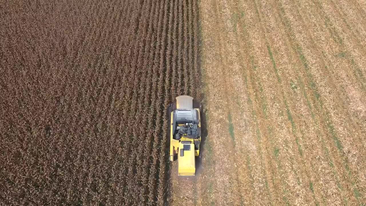 Stock Video Harvesting The Crops With A Machine Animated Wallpaper - Free Download