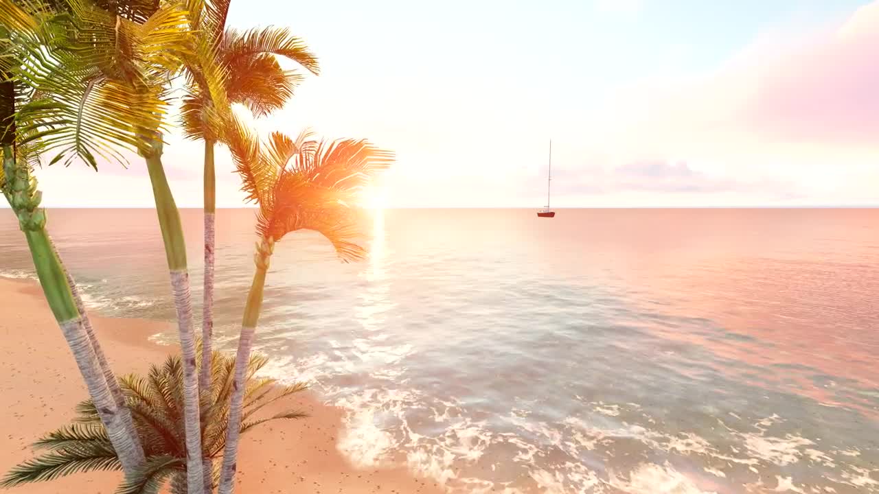 Stock Video Flying Over A Beach With A Palm Tree And A Live Wallpaper For PC - Free Download