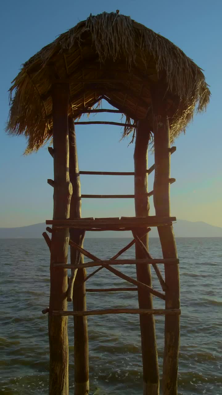 Stock Video Palm Frond Lifeguard Station Live Wallpaper - Free Download