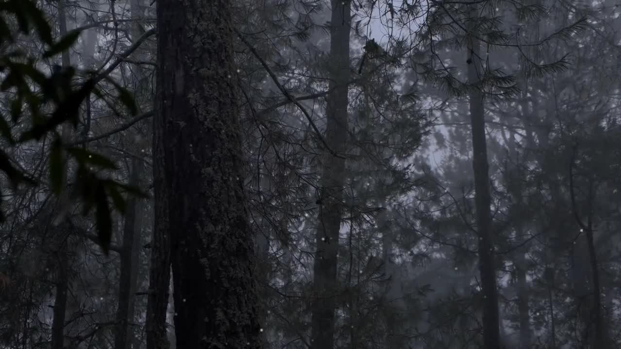 Free Stock Video Seasonal Snow Logo Reveal Live Wallpaper - Free Download