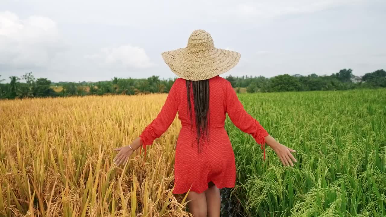 Free Stock Video Woman In Dress Walking Between Agriculture Fields Live Wallpaper - Free Download