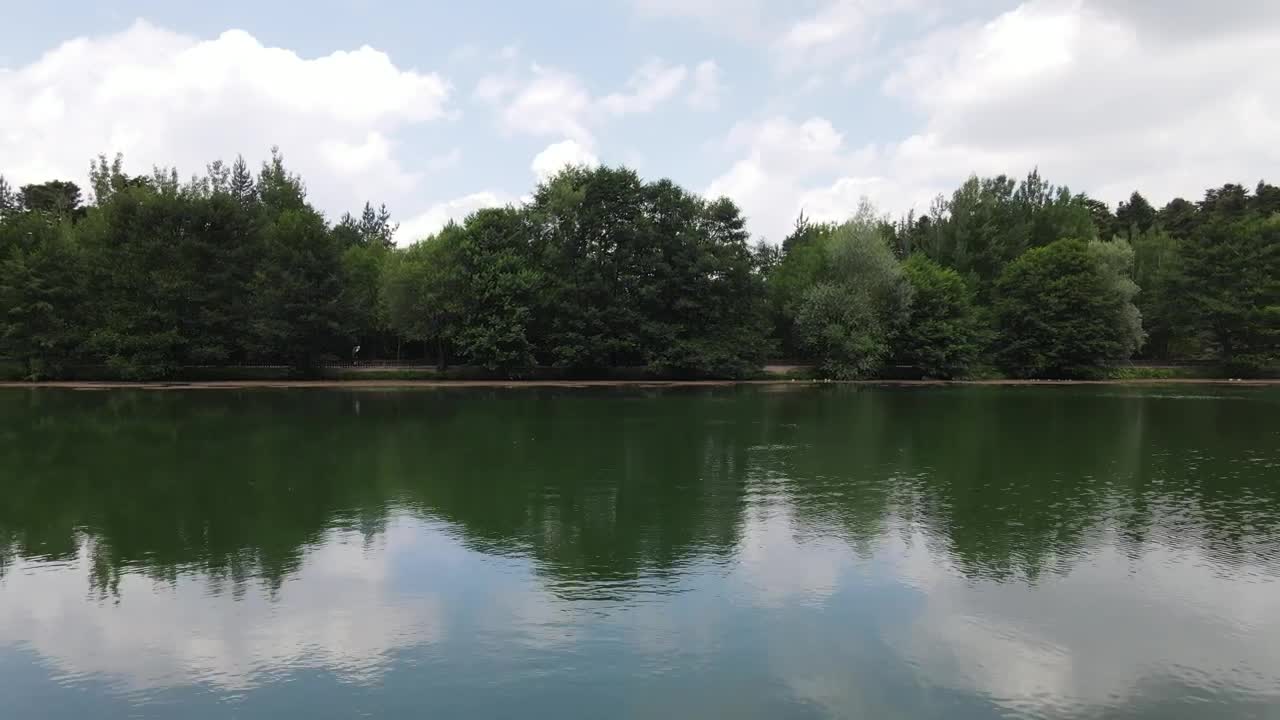 Free Video Stock touring a lake in the middle of a pine forest Live Wallpaper - Free Download