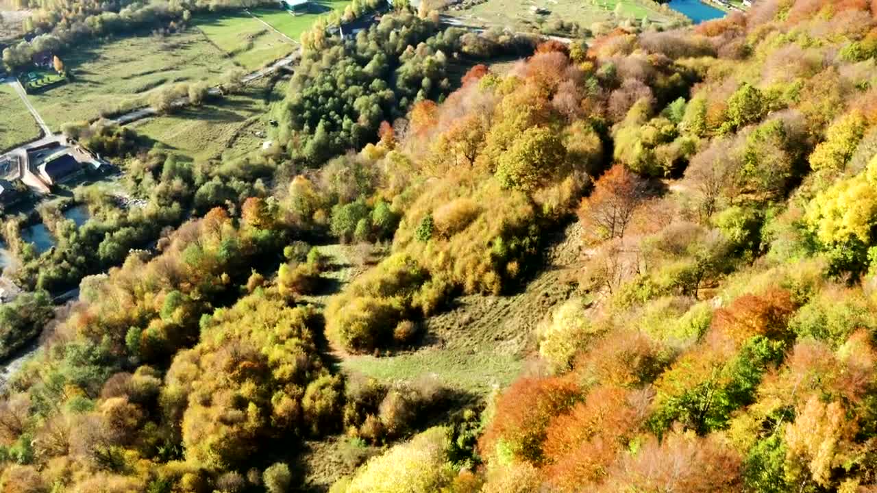 Stock Video Golden Forests And Green Fields Live Wallpaper For PC - Free Download
