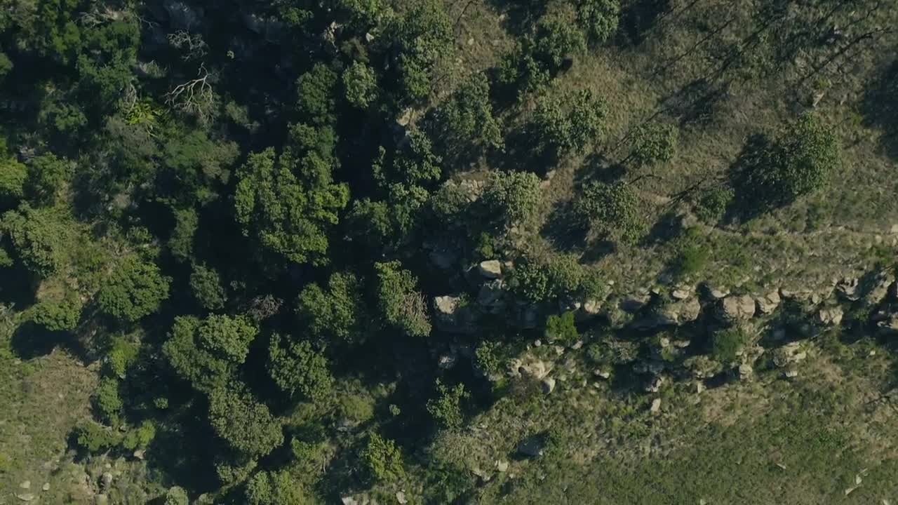 Stock Video Forest Near A Train Railway Top Shot Live Wallpaper For PC - Free Download