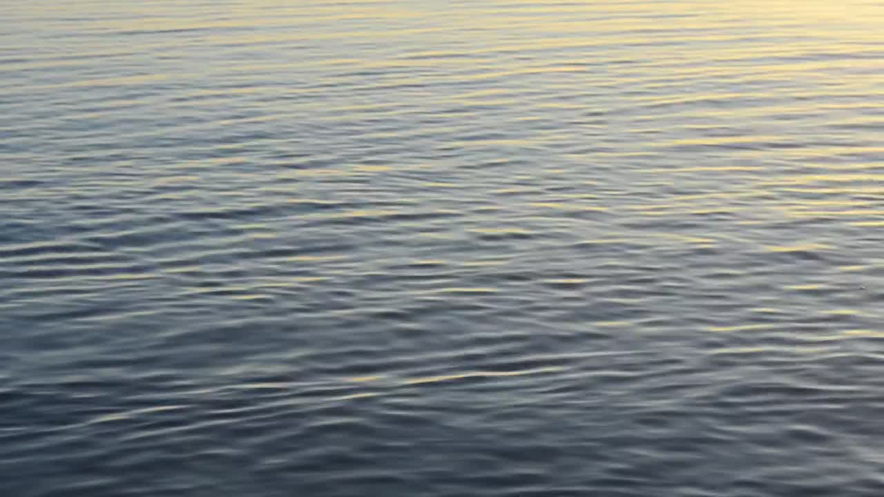 Stock Video Gentle Ripples Across The Water Live Wallpaper For PC - Free Download