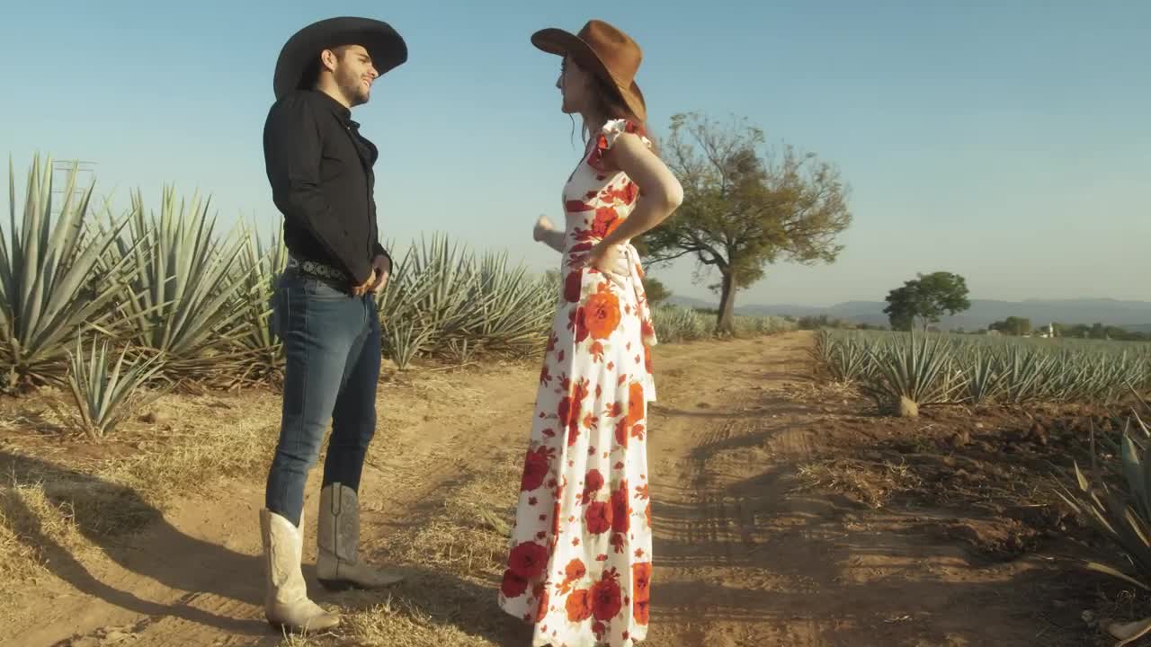 Free Stock Video Romantic Couple Of Ranchers In A Maguey Field Live Wallpaper - Free Download